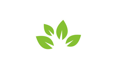green leaves vector