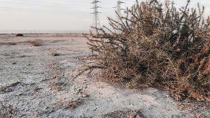 ‏ my eyes are resting In the desert of Kuwait
