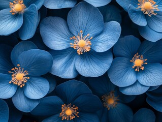 A close-up of vibrant blue flowers with orange centers, creating a striking visual contrast.