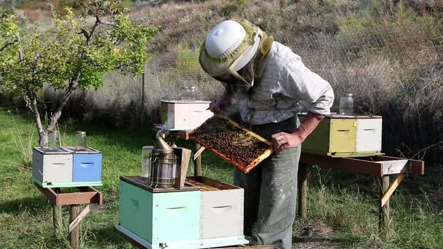Beekeeper Naramata Bench Okanagan Valley British Columbia Canada