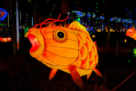 A unique lantern that is designed like a fish featuring a pink nose