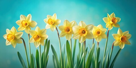 A Cluster of Daffodils Blooming Vibrantly Against a Soft Teal Background, Symbolizing Spring's Arrival and the Promise of New Beginnings