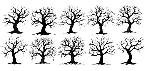 silhouette dead leafless trees on white. spooky, scary, horror etc concept.