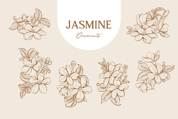 Set of Jasmine Line Art Ornaments