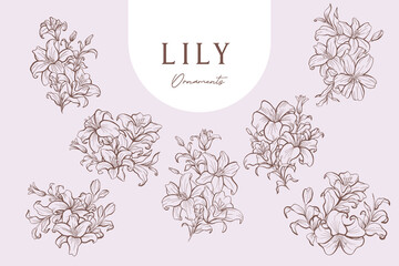 Set of Lily Line Art Ornaments