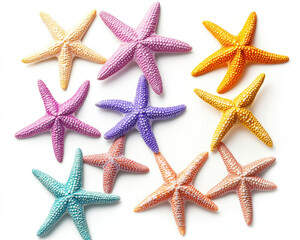 colorful starfish on white background
