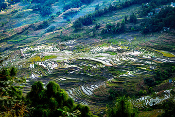 Samaba Rice Terraces in Baohua Township, Honghe County, Yunnan Province, China.