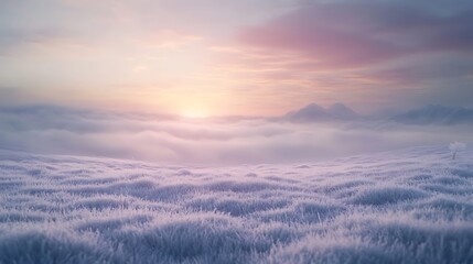 Fototapeta premium A frost-covered meadow under a blanket of dense fog, with soft light illuminating the horizon.