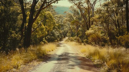 Fototapeta premium Sunny path through lush green forest.