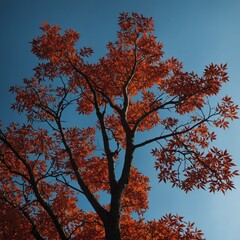 "A tree’s branches with vibrant red and orange leaves silhouetted against a blue sky."