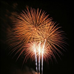 fireworks in the night sky