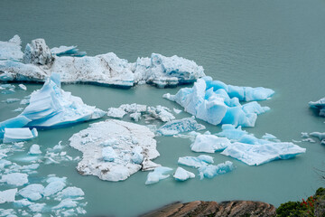 Close-up view of blue icebergs floating on turquoise waters of Lago Argentino, Patagonia, Argentina. The vivid ice textures contrast with the calm lake and the natural greenery in the foreground.