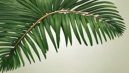 Fototapeta premium An Exquisite Photorealistic Image of a Palm Leaf Highlighting Nature's Details
