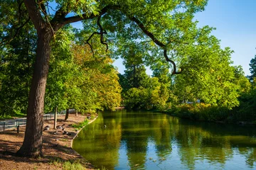 Fototapete Jardin public garden in Bordeaux © saiko3p