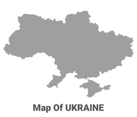 Simple flat Ukraine map Grey vector