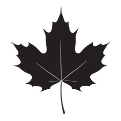 Canadian maple leaf silhouette vector icon illustration