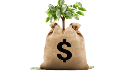 Money Tree: A symbolic image representing financial growth and prosperity. A money bag with a dollar sign sprouts a vibrant green money tree.