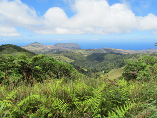 Fototapeta premium Nature Landscapes