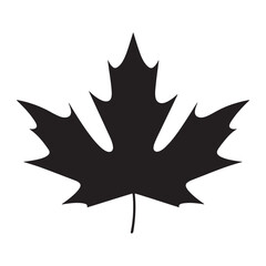 Canadian maple leaf silhouette vector icon illustration