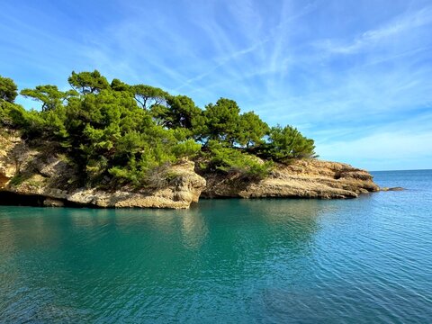 Ocean and rocky coast with pine trees beautiful landscape 