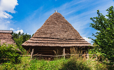 Wooden house with a thatched roof. Ethnographic Museum.