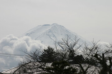 真冬の富士山。日本一高い山を雲の間に見え隠れ。