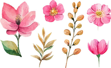 set of pink flowers