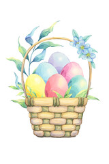 Watercolor easter basket with colored eggs isolated on white background. Decorated with fresh green branches. Composition for spring design, card making, textile, scrapbooking