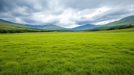 Fototapeta premium Expansive green meadow under a cloudy sky in a mountainous landscape during daytime