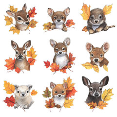 Obraz premium set of puppies