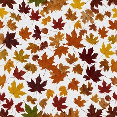 Obraz premium Collection of falling isolated autumns colored maple leaves isolated on transparent or white background.