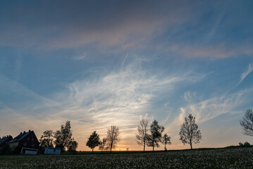 Abendstimmung über der Löwenzahnwiese – Natur pur.Abendstimmung über der Löwenzahnwiese –...