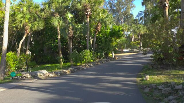 Car point of view driving on scenic road in sunny Florida. Casey Key coastal residential community picturesque streets.