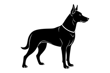 Belgian Malinois Silhouette in Protective Stance with Alert Ears