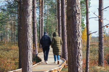 
A couple walking on a wooden boardwalk in the forest. The boardwalk leads through tall, thin trees and is surrounded by a colorful autumn forest.