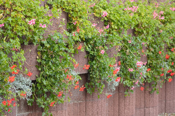 A stone wall made of red stone blocks is overgrown with pink and red flowers that contrast with the green leaves and colorful flowers.
