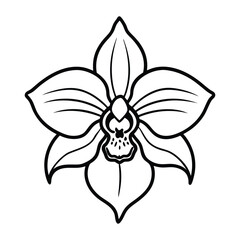 A single orchid line art illustration.eps