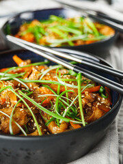 Wok Chicken with Funchoza and Vegetables, Asian Stir-Fry Delight, Tasty and Healthy Gourmet Dish