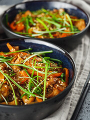 Wok Chicken with Funchoza and Vegetables, Asian Stir-Fry Delight, Tasty and Healthy Gourmet Dish