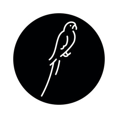 Platycercus icterotis color icon.