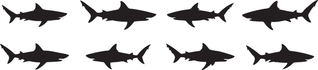 Shark silhouette vector art on white background 