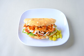 Meat Chicken Doner, between bread (Turkish Name : ekmek arasi et doner, tavuk doner, Gobit ekmek arasi, Turk kebabi)