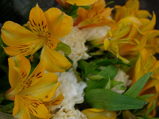 Obraz premium beautiful flowers in the flower shop