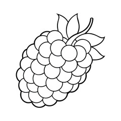 Black and white outline illustration of a blackberry with detailed leaves and rounded berry shapes