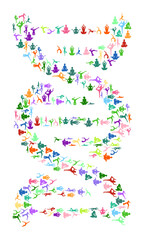 Yoga DNA