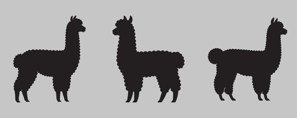 Set of three black alpaca silhouettes with distinct wool textures
