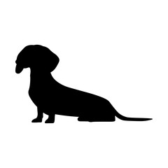 Dog silhouette isolated on white background. Dachshund silhouette 3