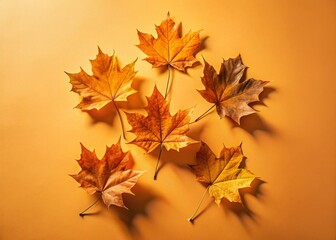 Pastel Orange Maple Leaves Autumn Flat Lay