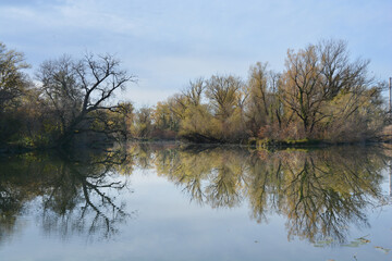 A serene autumn scene in the protected landscape and ornithological reserve Savica in Zagreb, with trees in autumn colors reflecting in the calm water under a clear blue sky