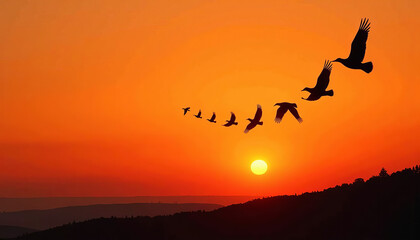 Fototapeta premium Birds Flying in Formation Silhouette at Sunset